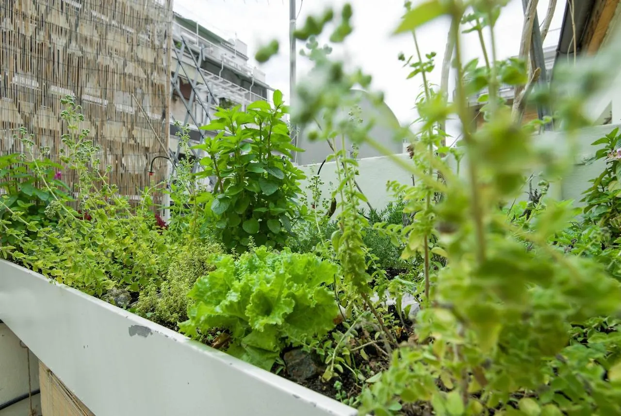 Eco Escape Rooftop Apartment Thessaloniki